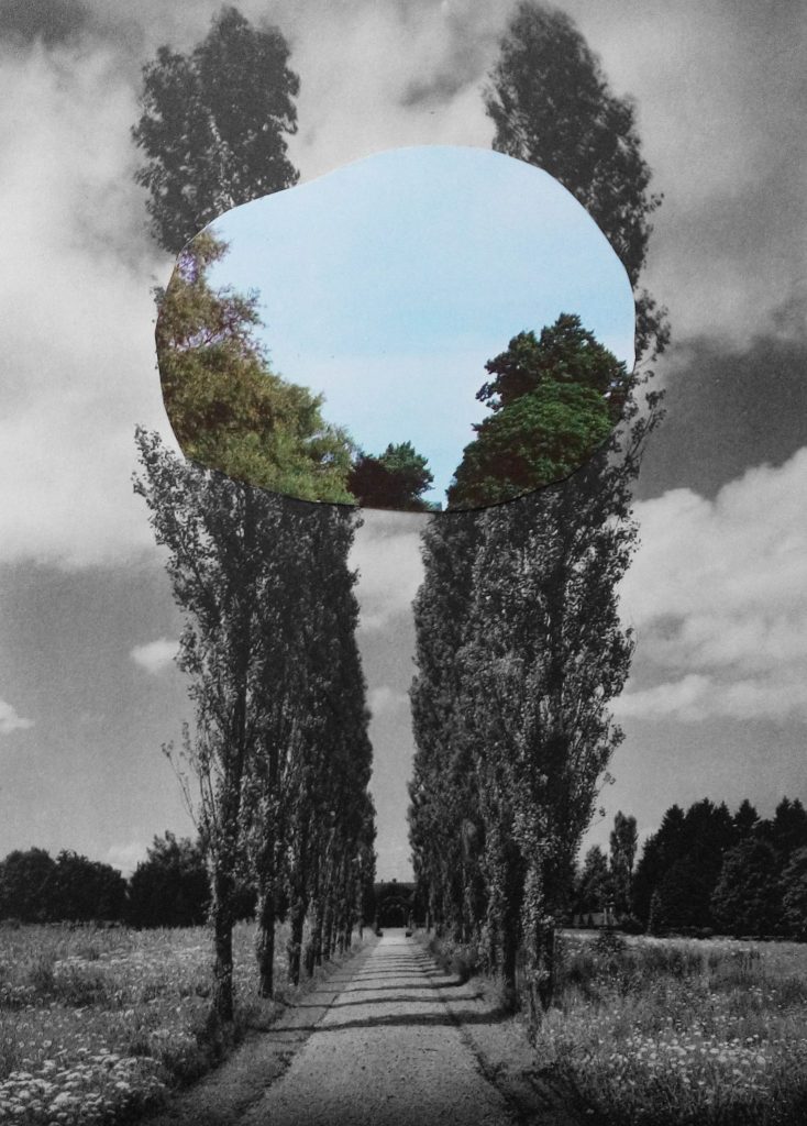 contemporary collage artists- paper collage- Windows