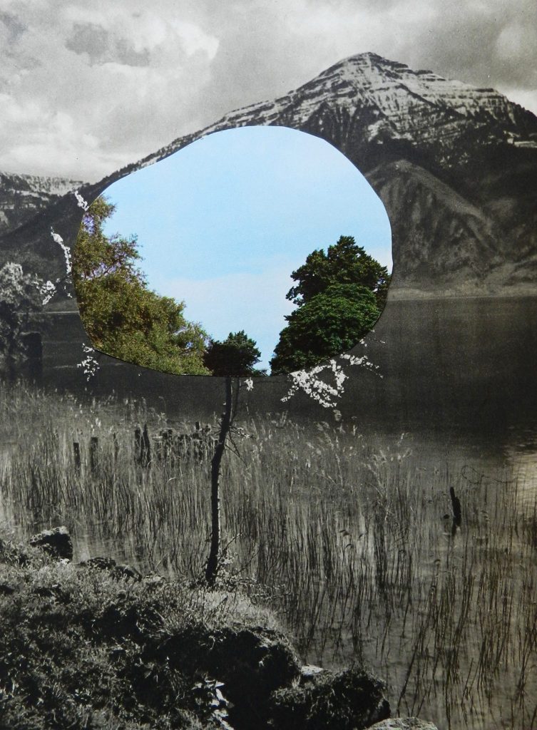 contemporary collage artists- paper collage- Windows