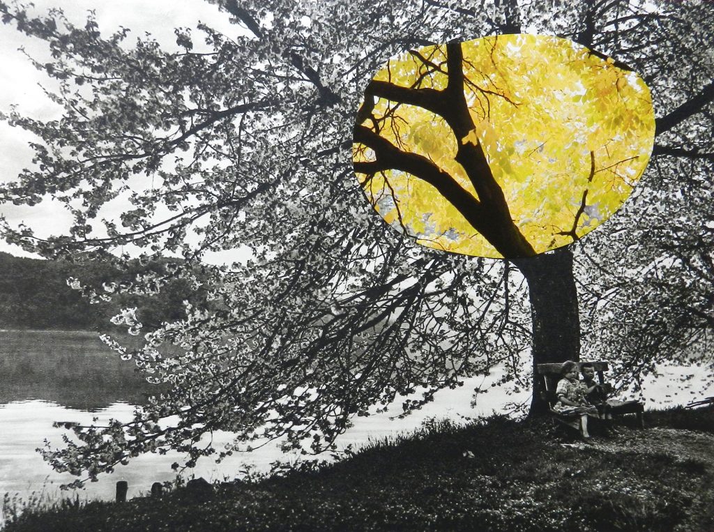 contemporary collage artists- paper collage- Windows