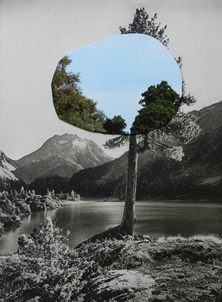 contemporary collage artists- paper collage- Windows