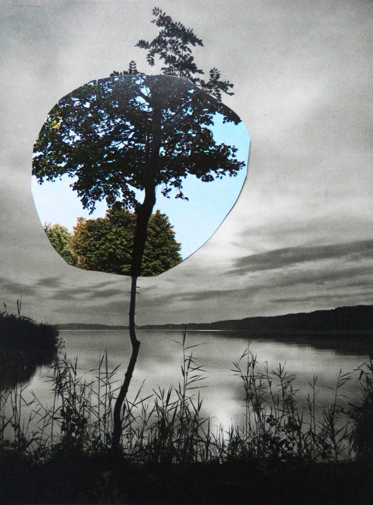 contemporary collage artists- paper collage- Windows