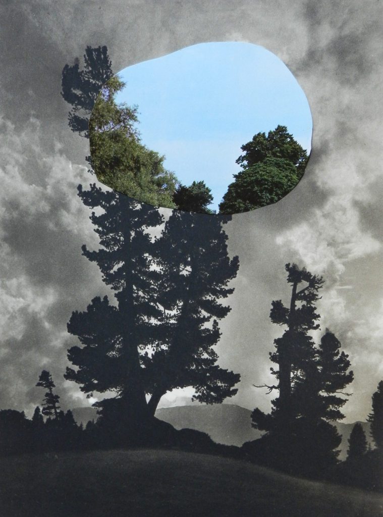 contemporary collage artists- paper collage- Windows